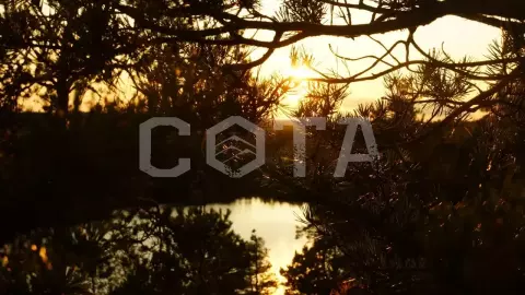 Ястребиное. Скалолазание и тарзанка. Поход из Петербурга - фото 2
