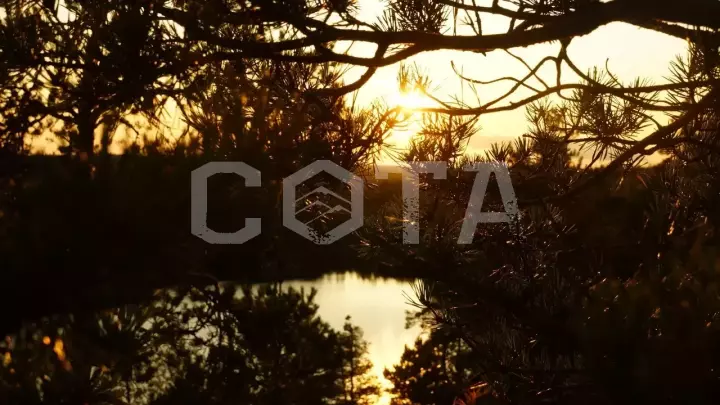 Ястребиное. Скалолазание и тарзанка. Поход из Петербурга - фото 1