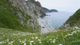 Приморский край. Активный тур без рюкзаков и палаток - фото 17 (миниатюра)