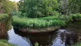 Вдоль реки Нерская. Мещерские красоты - фото 3 (миниатюра)