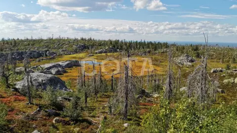 Воттоваара. Поход налегке на самую загадочную гору Карелии - фото 2