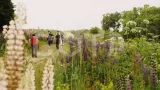 Поход на Кунашир с восхождением на Тятю. Курильские острова - фото 10 (миниатюра)