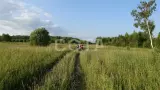 Ущелье Бунчихи. Живописный край Подмосковья - фото 1 (миниатюра)