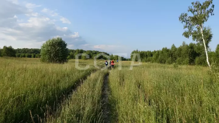 Ущелье Бунчихи. Живописный край Подмосковья - фото 1