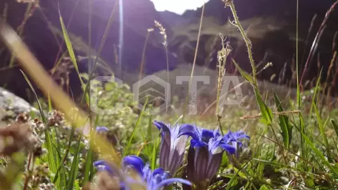 Восхождение на Эльбрус с юга с посещением ущелья Адыр-су - фото 4
