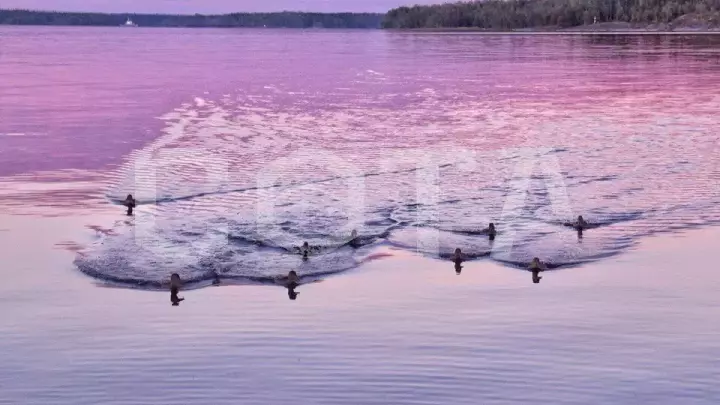 Ладожский берег. Пеший поход с палатками из Санкт-Петербурга - фото 7