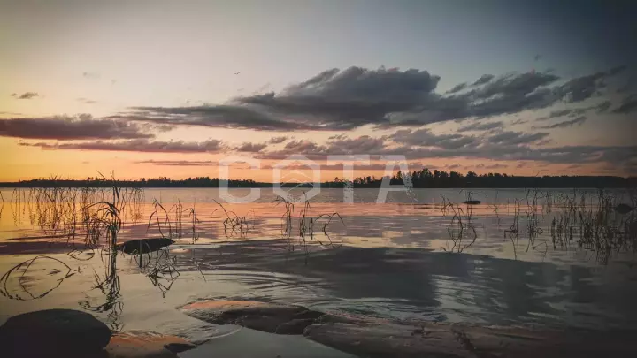 Ладожский берег. Пеший поход с палатками из Санкт-Петербурга - фото 10