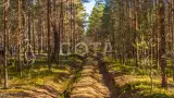 Активные выходные на озере Селигер - фото 5 (миниатюра)