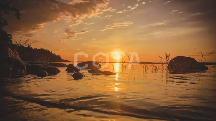 Ладожский берег. Пеший поход с палатками из Санкт-Петербурга - фото 1
