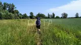 Ущелье Бунчихи. Живописный край Подмосковья - фото 4 (миниатюра)