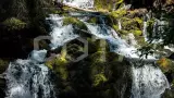 Карелия. Поход по национальному парку Паанаярви - фото 15 (миниатюра)