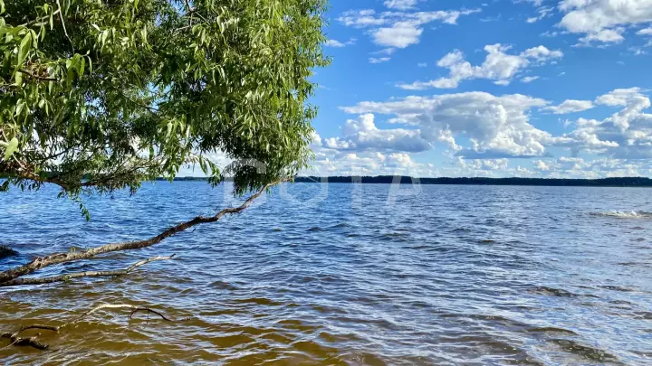 На волнах Московского моря. Байдарочный поход на выходные в Подмосковье - фото 9