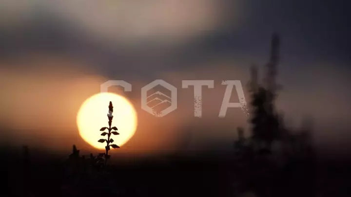 Неделя в Карелии. Поход на байдарках среди Ладожских шхер - фото 1