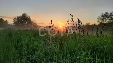 Ущелье Бунчихи. Живописный край Подмосковья - фото 5