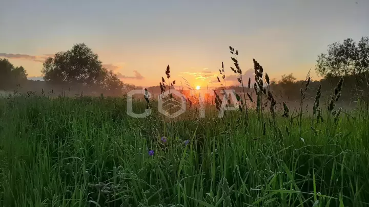 Ущелье Бунчихи. Живописный край Подмосковья - фото 5