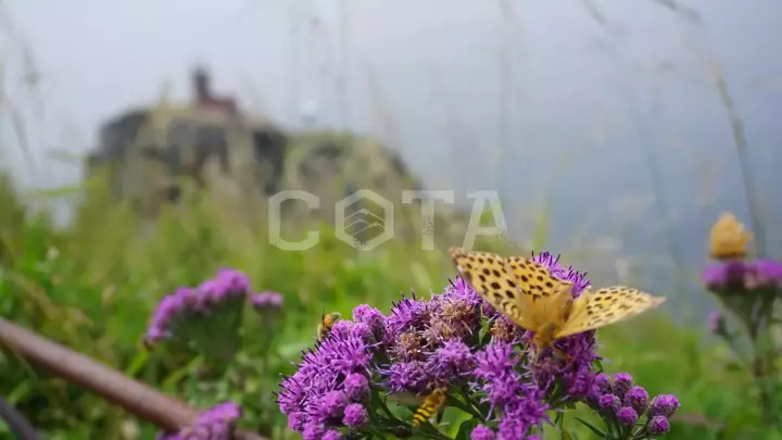 Приморский край. Активный тур без рюкзаков и палаток - фото 11