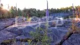 Ладожский берег. Пеший поход с палатками из Санкт-Петербурга - фото 4 (миниатюра)