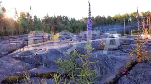 Ладожский берег. Пеший поход с палатками из Санкт-Петербурга - фото 5