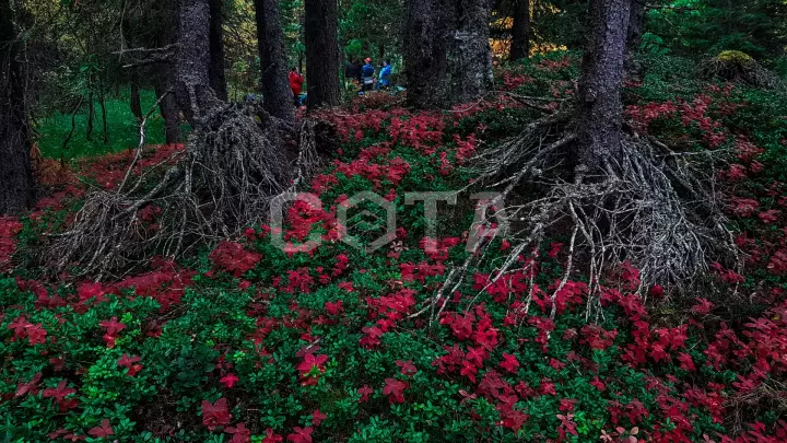 Ловозерские тундры - фото 1