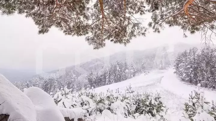 Горнолыжный тур / Телецкое озеро + Манжерок - фото 3