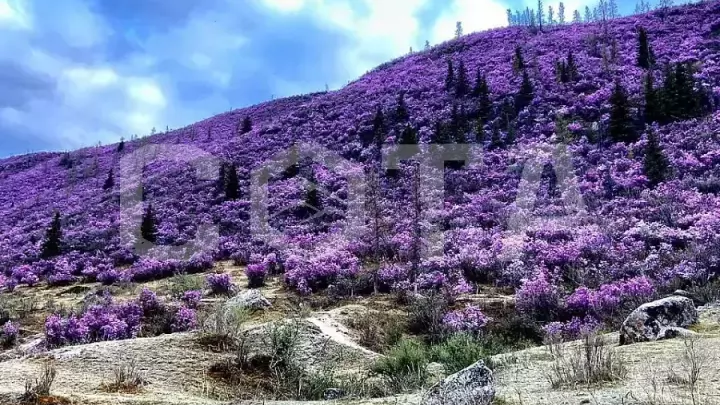 Майские выходные на Алтае - фото 1
