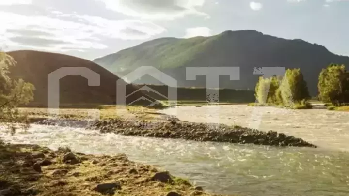 Экскурсионный тур "Летние каникулы в Горном Алтае" - фото 1
