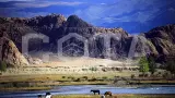 Экспресс-тур Алтай-Монголия. ЗИМА - фото 7 (миниатюра)