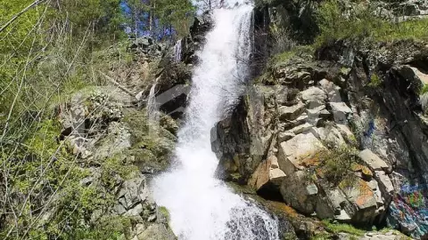 Влюбись в Алтай за 5 дней. Легкий и комфортный - фото 2