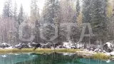 Марс на Алтае - фото 3 (миниатюра)
