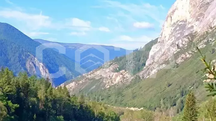 Индивидуальный тур на Алтай летом: экскурсии, проживание, завтрак - фото 3