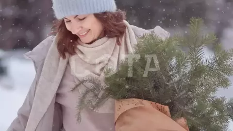 Экскурсия в горы - скалы Четыре брата в окрестностях курорта Белокуриха/ Новый год 2024 - фото 2