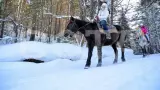 Конные прогулки - фото 2 (миниатюра)