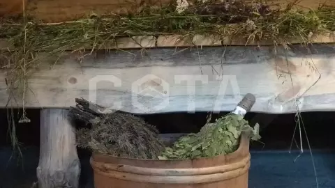 Баня по-черному в окрестностях курорта Белокуриха - фото 1