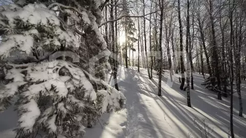 Экскурсия в горы - скалы Четыре брата в окрестностях курорта Белокуриха/ Новый год 2024 - фото 4