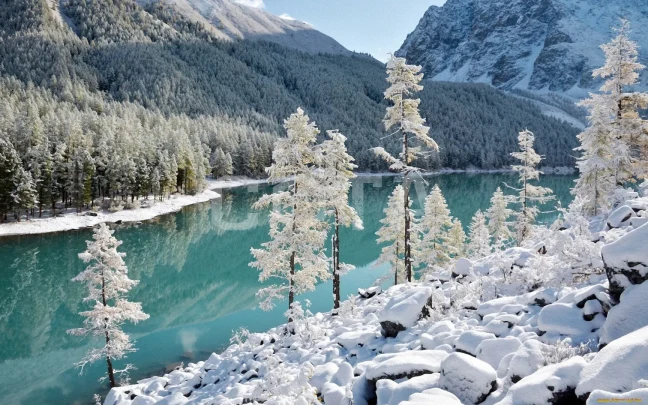 Новогодние каникулы Алтай - фото 3