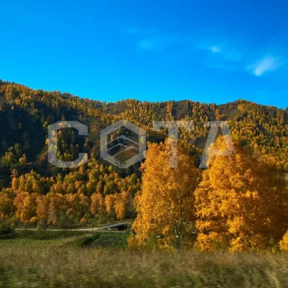 Волшебные краски Алтая- шикарный тур! - фото 6