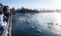 Озеро Светлое (Лебединое) - фото